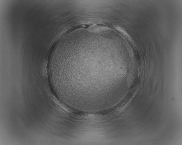 X0000073980585200609111810