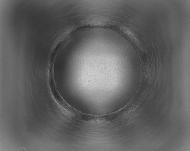 X0000073980586200609111810