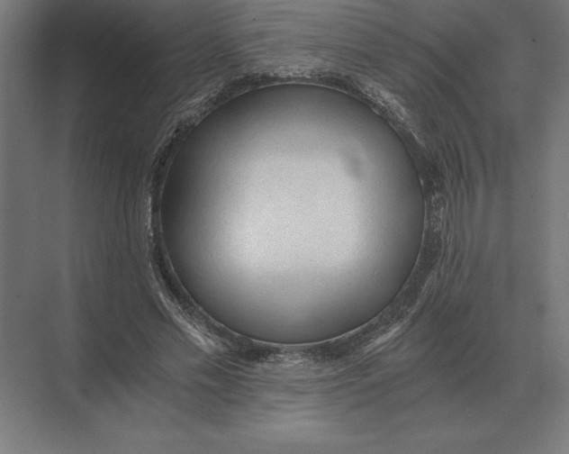 X0000073980589200609111810