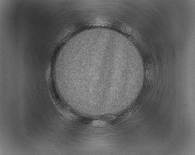 X0000073980591200609111810