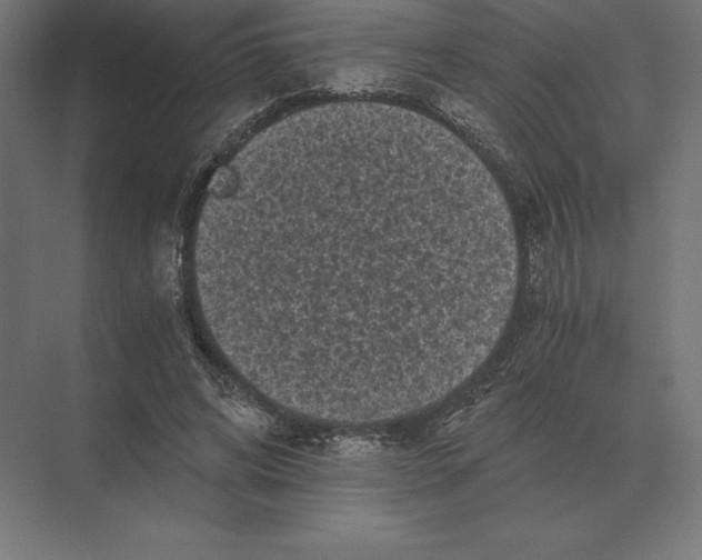 X0000073980592200609111810