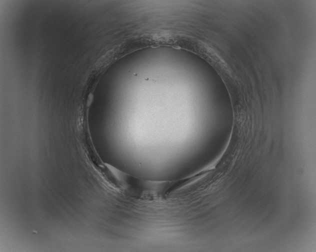 X0000073980593200609111810