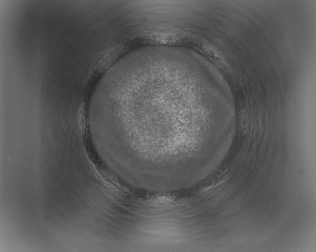 X0000073980594200609111810