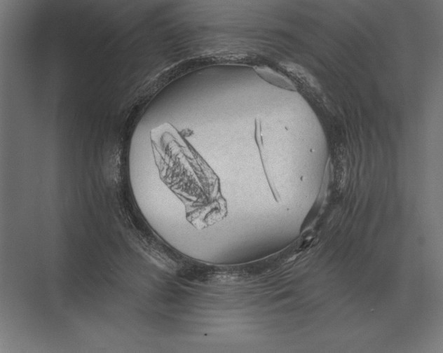 X0000073980596200609111810