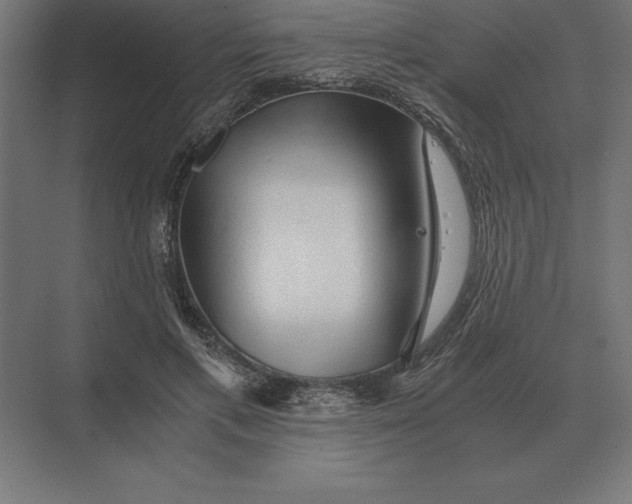 X0000073980597200609111810