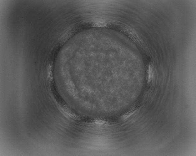 X0000073980598200609111810