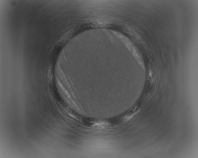 X0000073980599200609111810