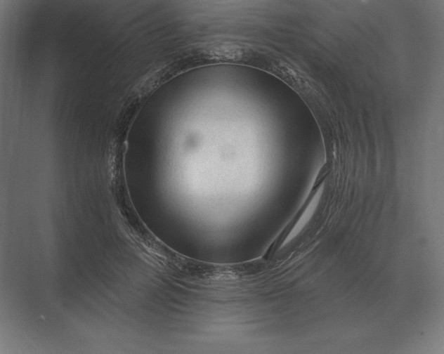 X0000073980600200609111810