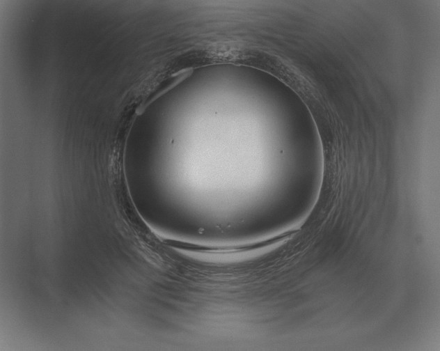 X0000073980601200609111810