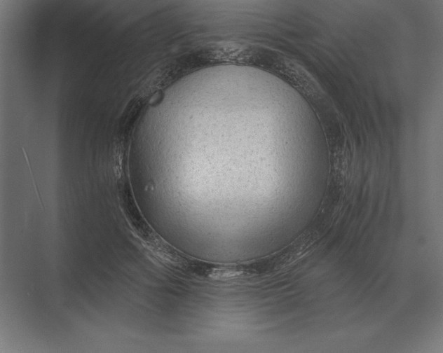 X0000073980602200609111810