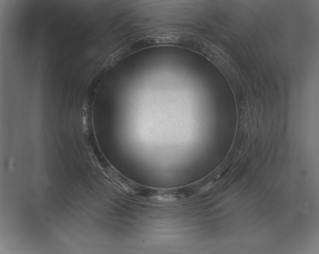 X0000073980604200609111810