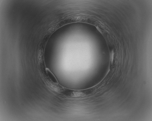 X0000073980605200609111810