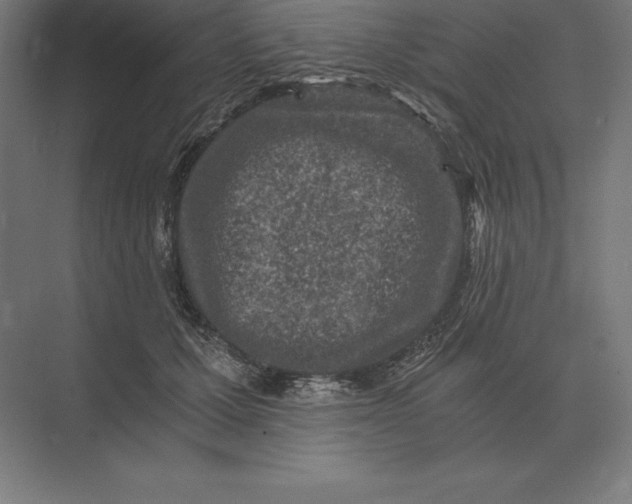 X0000073980607200609111810