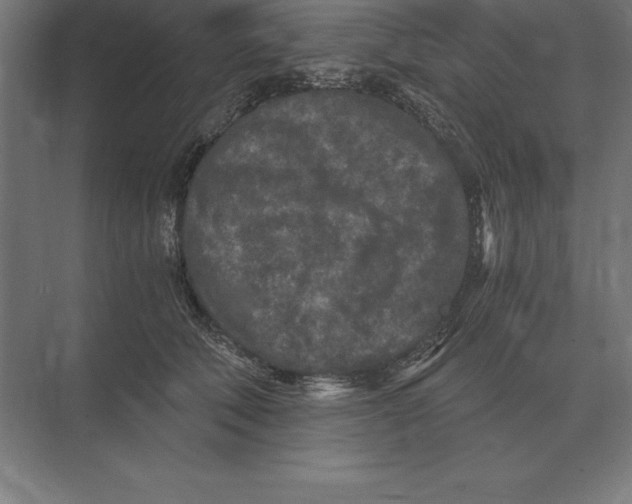 X0000073980610200609111809