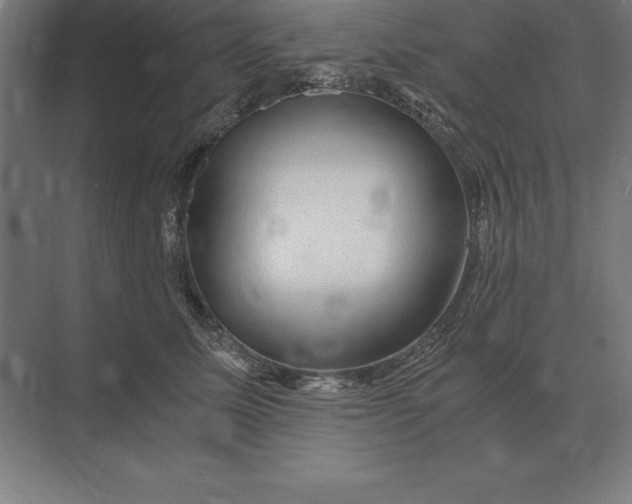 X0000073980611200609111809