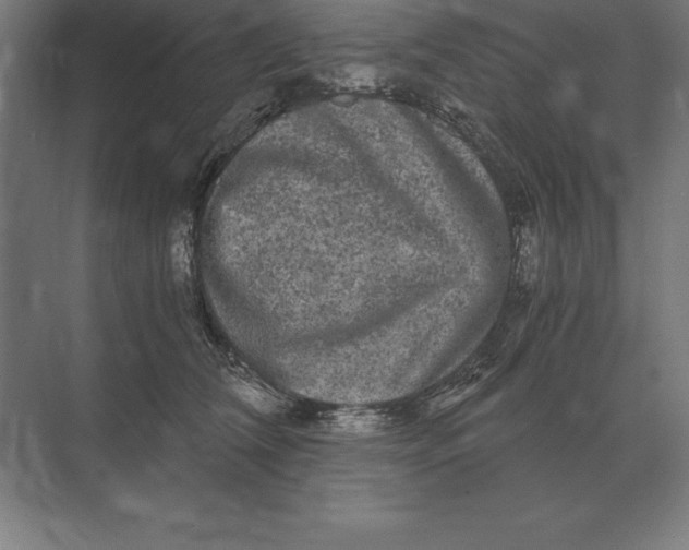 X0000073980612200609111809