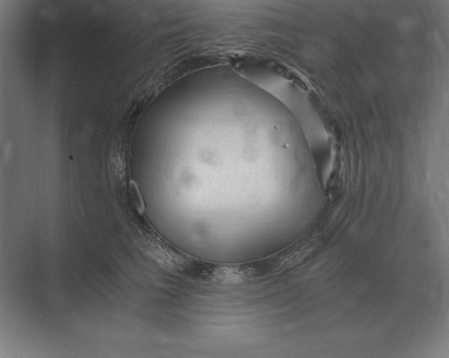 X0000073980613200609111809