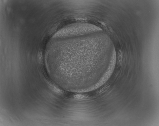 X0000073980614200609111809