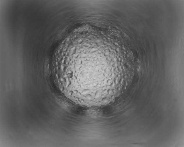 X0000073980615200609111809