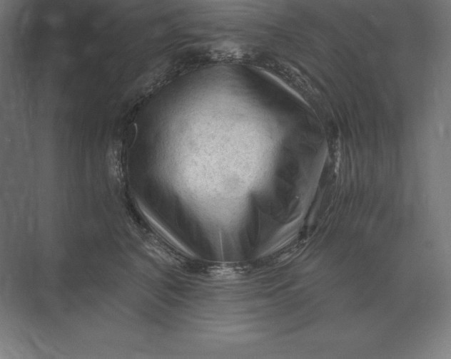 X0000073980616200609111809