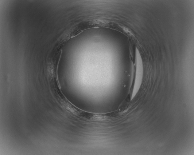 X0000073980617200609111809