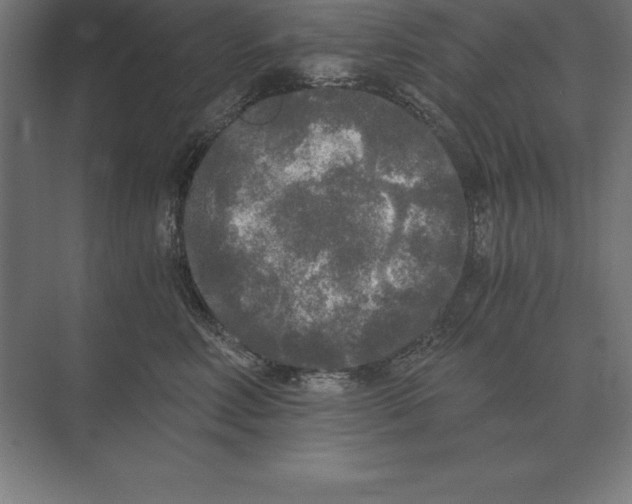 X0000073980618200609111809