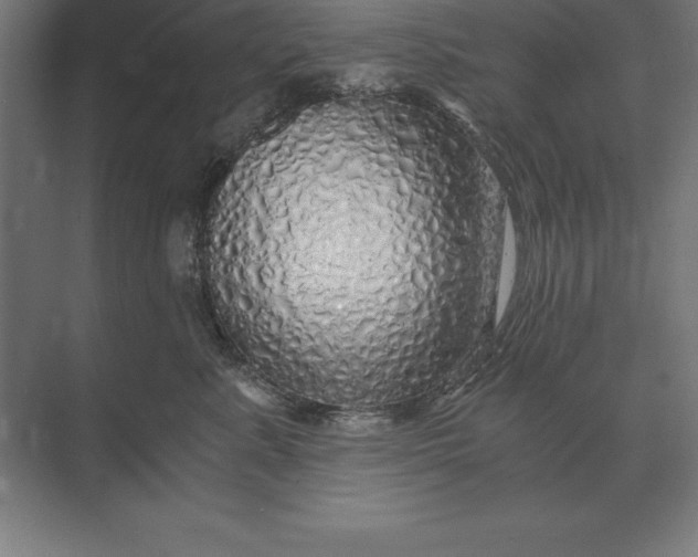 X0000073980619200609111809