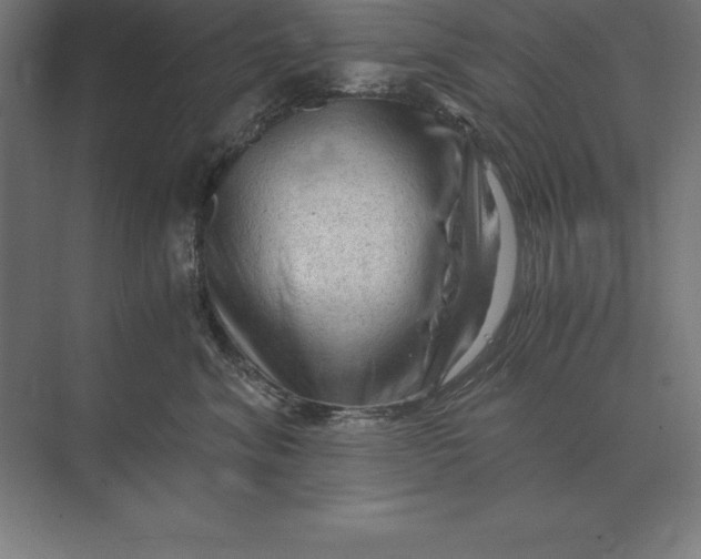 X0000073980620200609111809