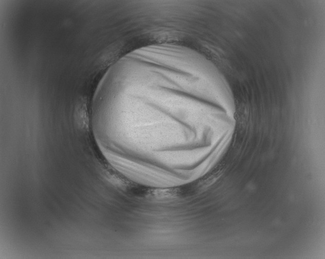 X0000073980622200609111809