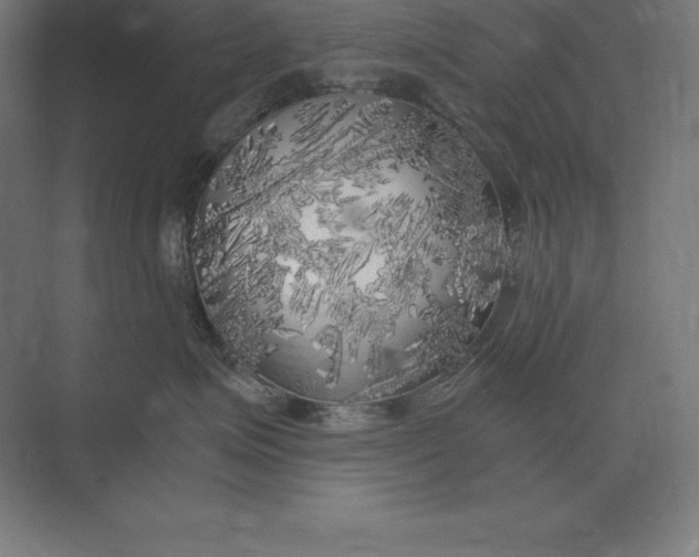 X0000073980623200609111809