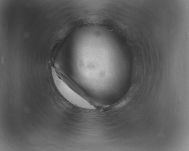 X0000073980624200609111809