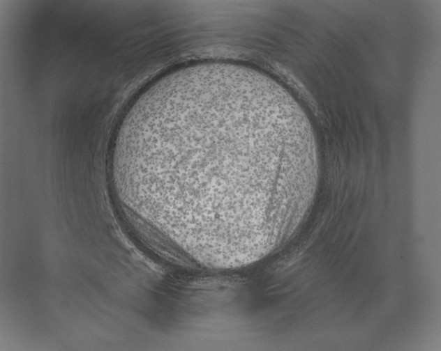 X0000073980625200609111808