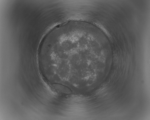 X0000073980626200609111808