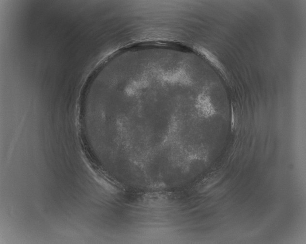 X0000073980627200609111808