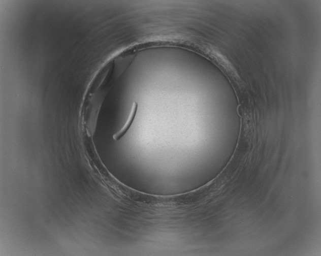 X0000073980628200609111808