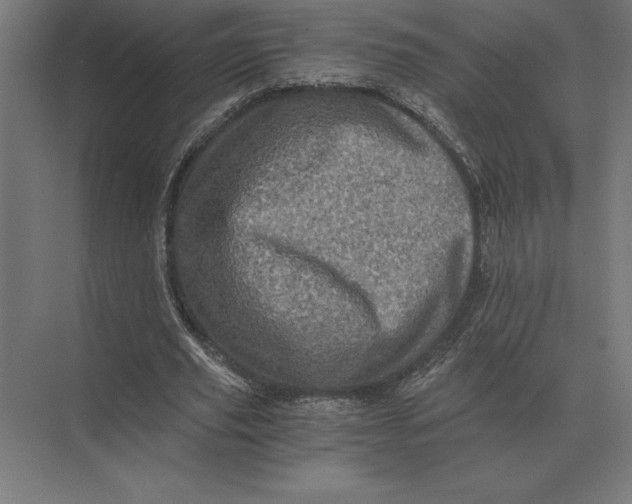 X0000073980629200609111808