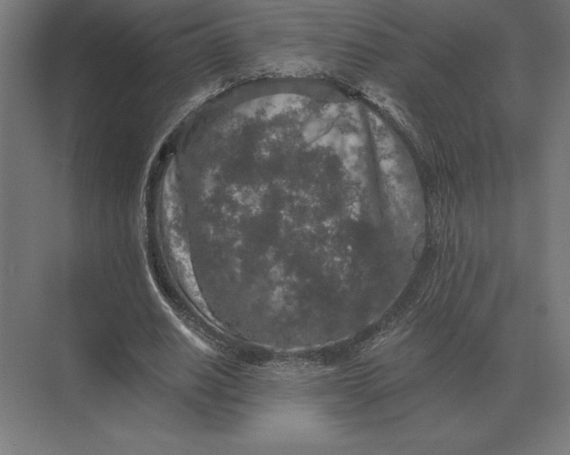 X0000073980630200609111809