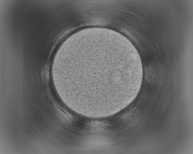 X0000073980632200609111809