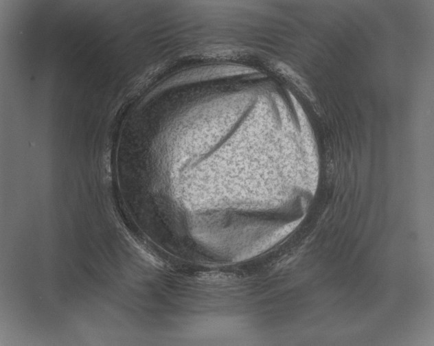 X0000073980633200609111809