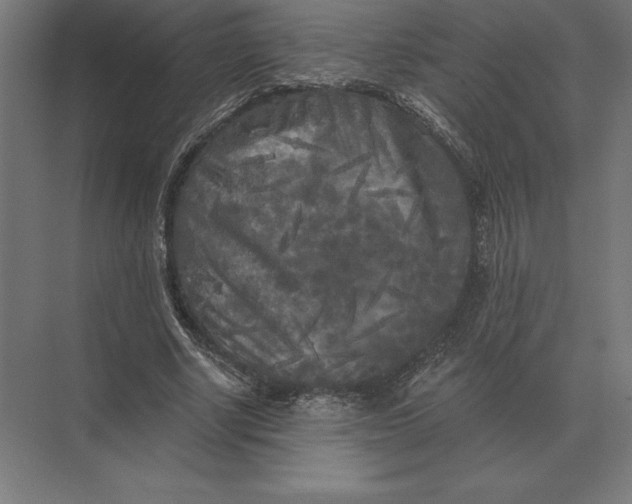 X0000073980634200609111809