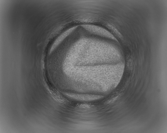 X0000073980635200609111809