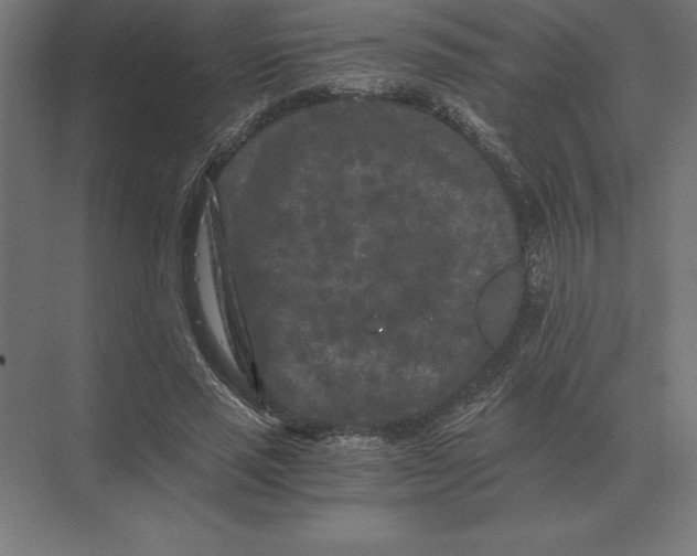 X0000073980637200609111809