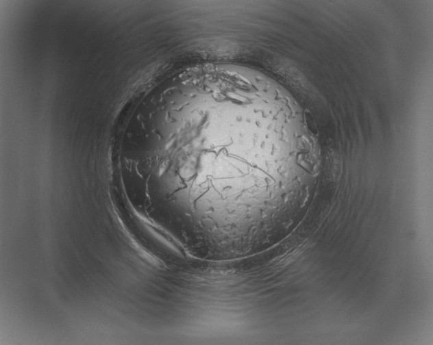 X0000073980638200609111809