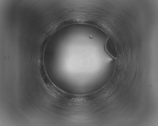 X0000073980639200609111809