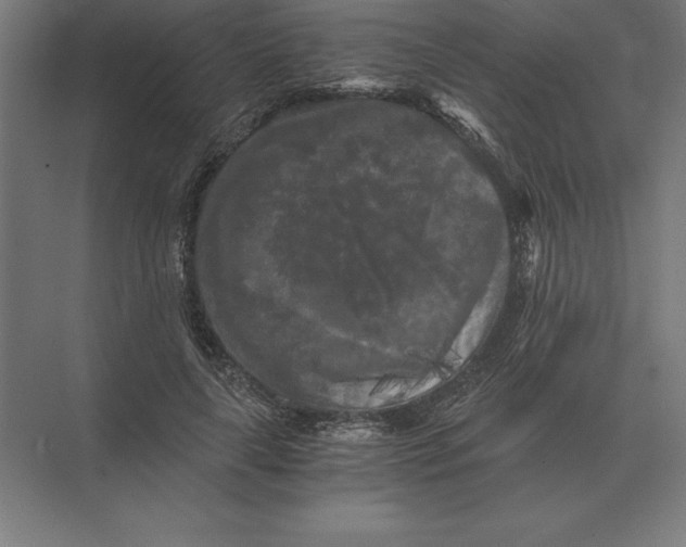 X0000073980643200609111809