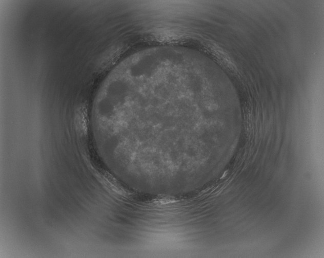 X0000073980644200609111809