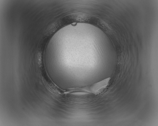 X0000073980646200609111809