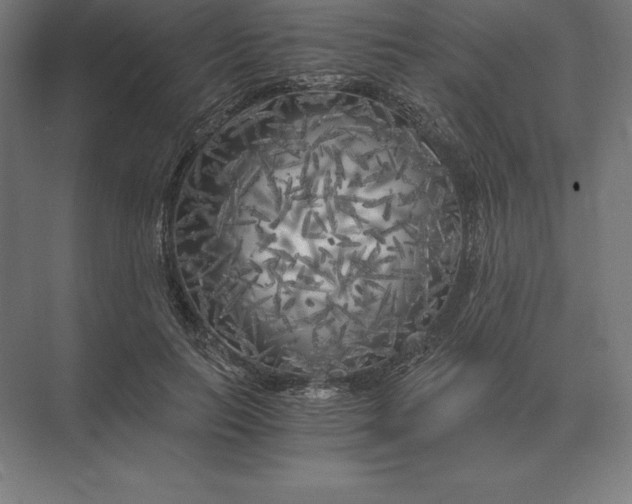 X0000073980647200609111809