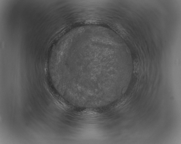 X0000073980648200609111809