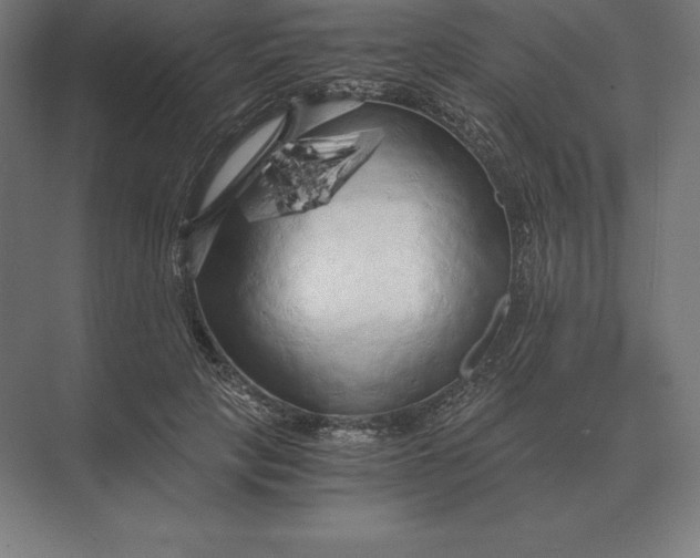 X0000073980649200609111809